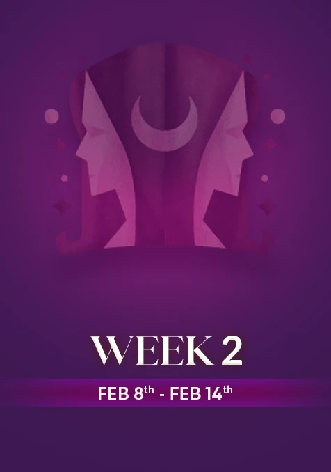 Gemini | Week 2 | Feb 8th - Feb 14th