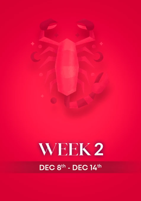 Scorpio | Week 2 | Dec 8th - Dec 14th