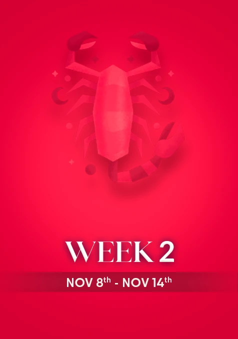 Scorpio | Week 2 | November 8th - 14th