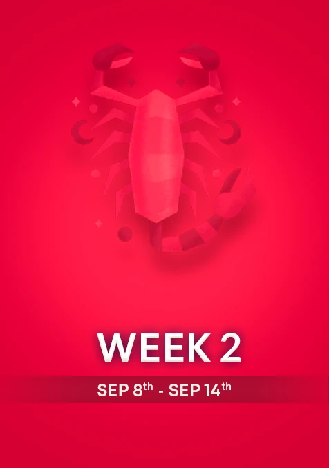 Scorpio | Week 2 | September 8th- 14th September